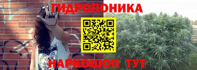 Альфа ПВП Краснодар