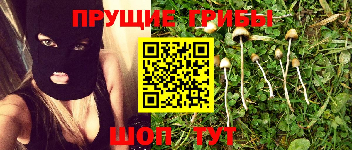 Тула  Псилоцибиновые грибы Cubensis  Вход с VPN 